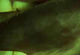 Velscope